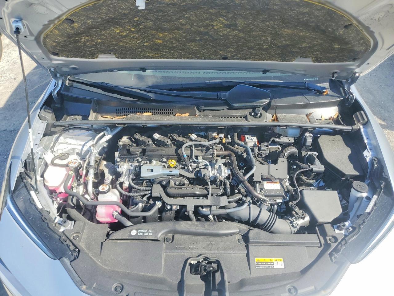 2024 TOYOTA PRIUS