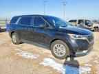 2024 KIA Carnival