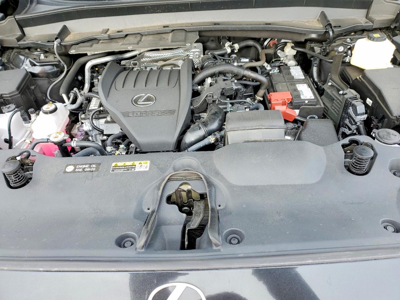 2025 LEXUS TX 350