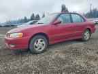 2001 TOYOTA COROLLA