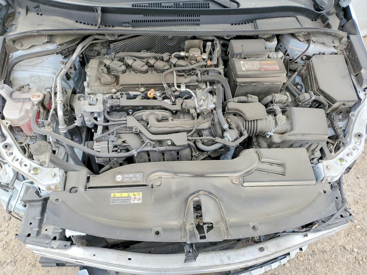 2023 TOYOTA COROLLA