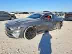 2023 FORD MUSTANG