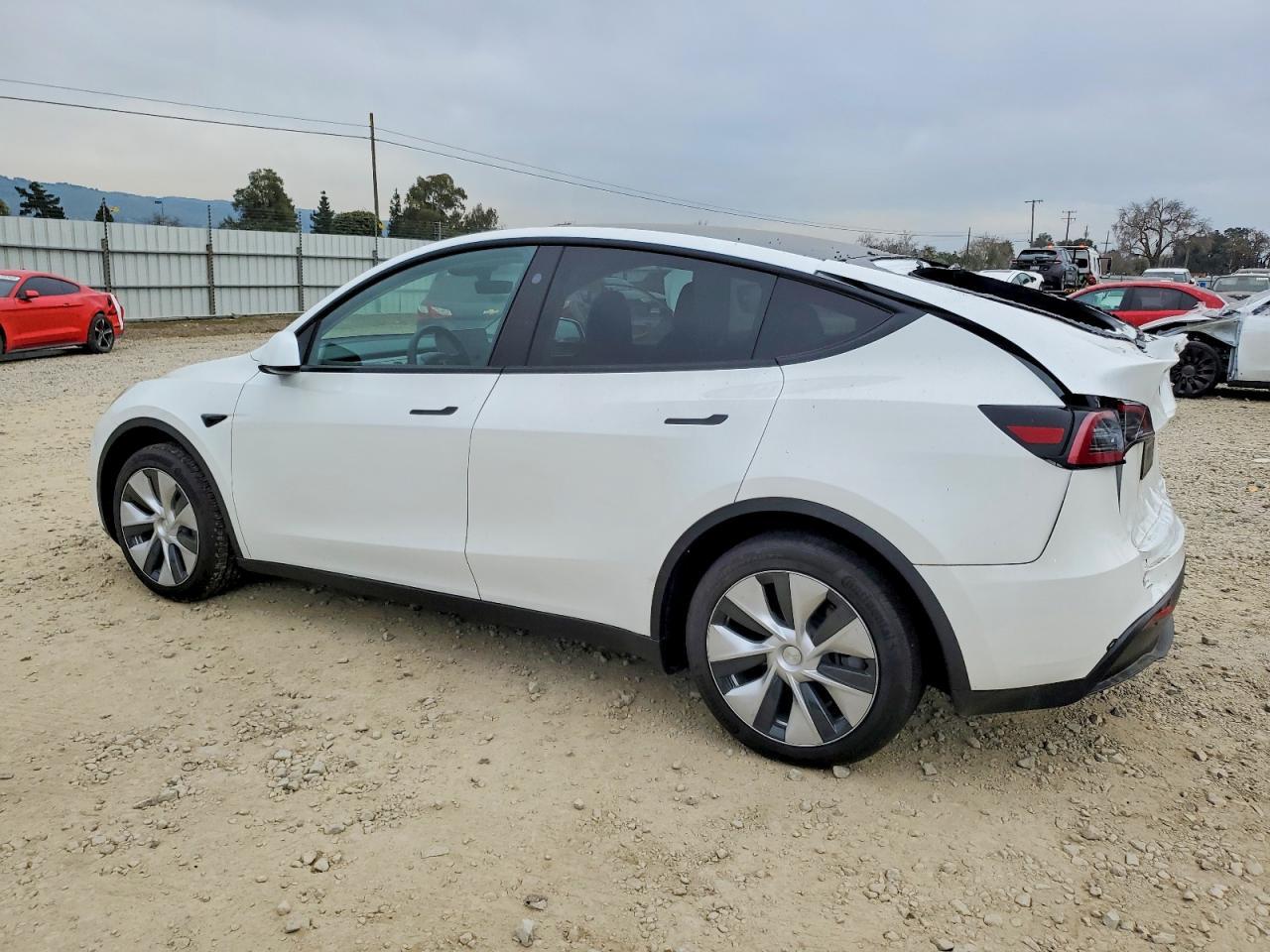 2024 TESLA MODEL Y