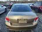 2010 HONDA ACCORD