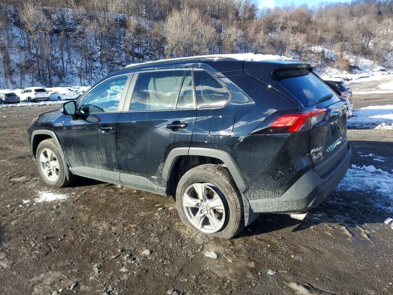 2025 TOYOTA RAV4