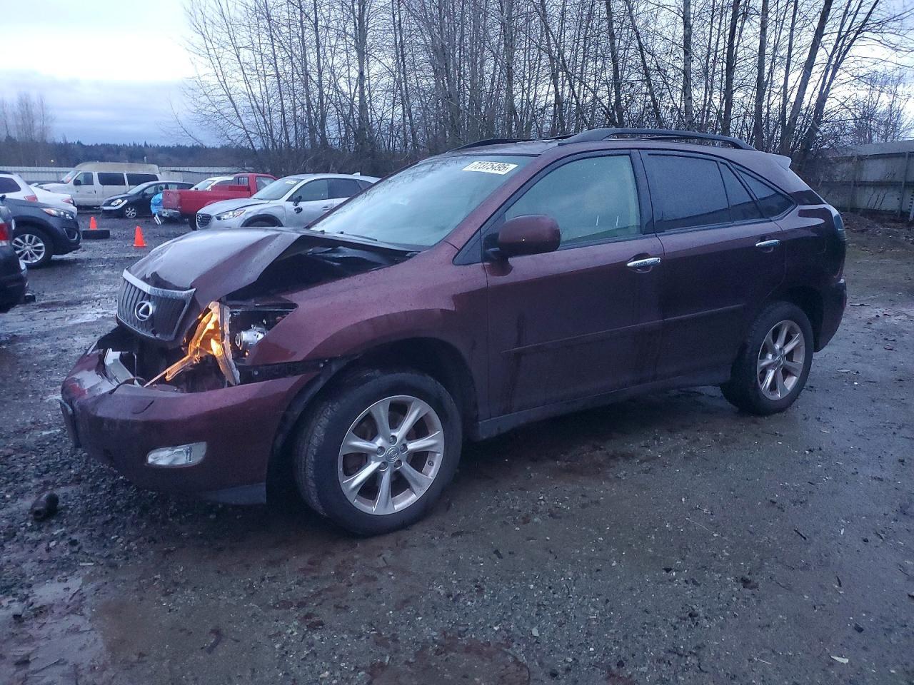 2009 LEXUS RX 350