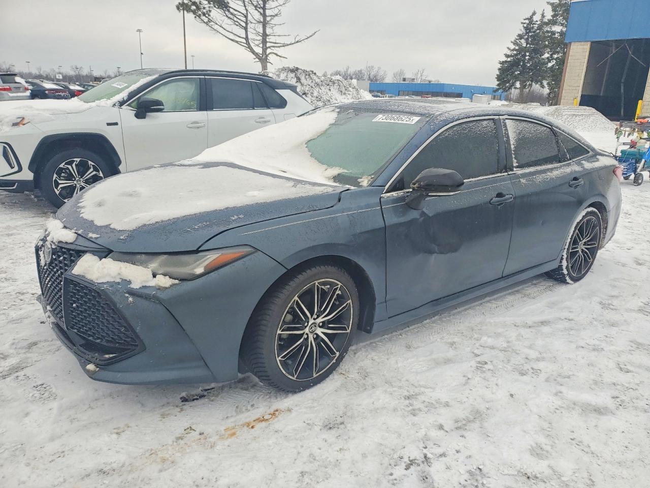 2019 TOYOTA Avalon