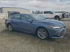 2022 TOYOTA Avalon