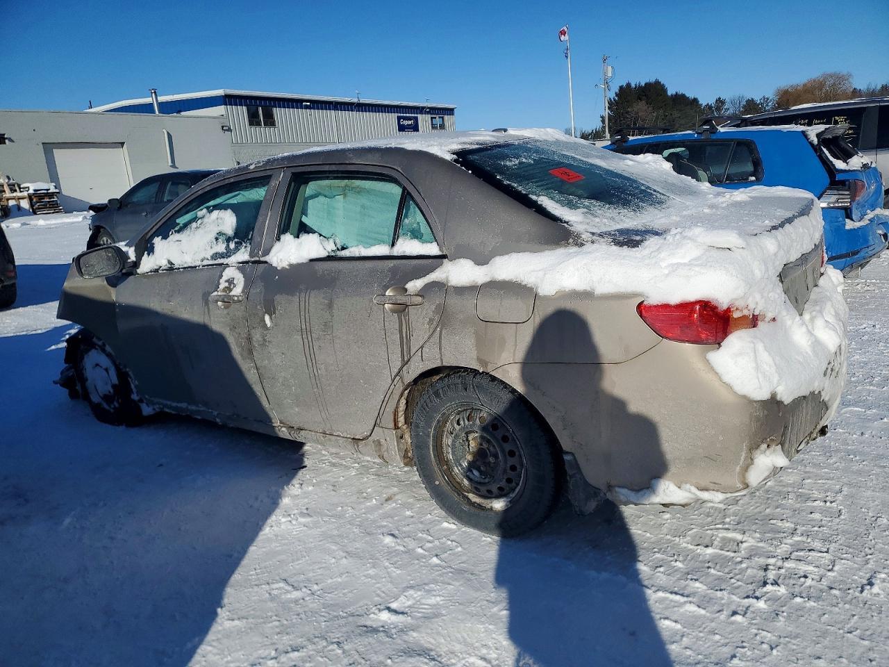 2010 TOYOTA COROLLA