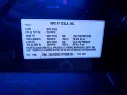2023 TESLA MODEL Y