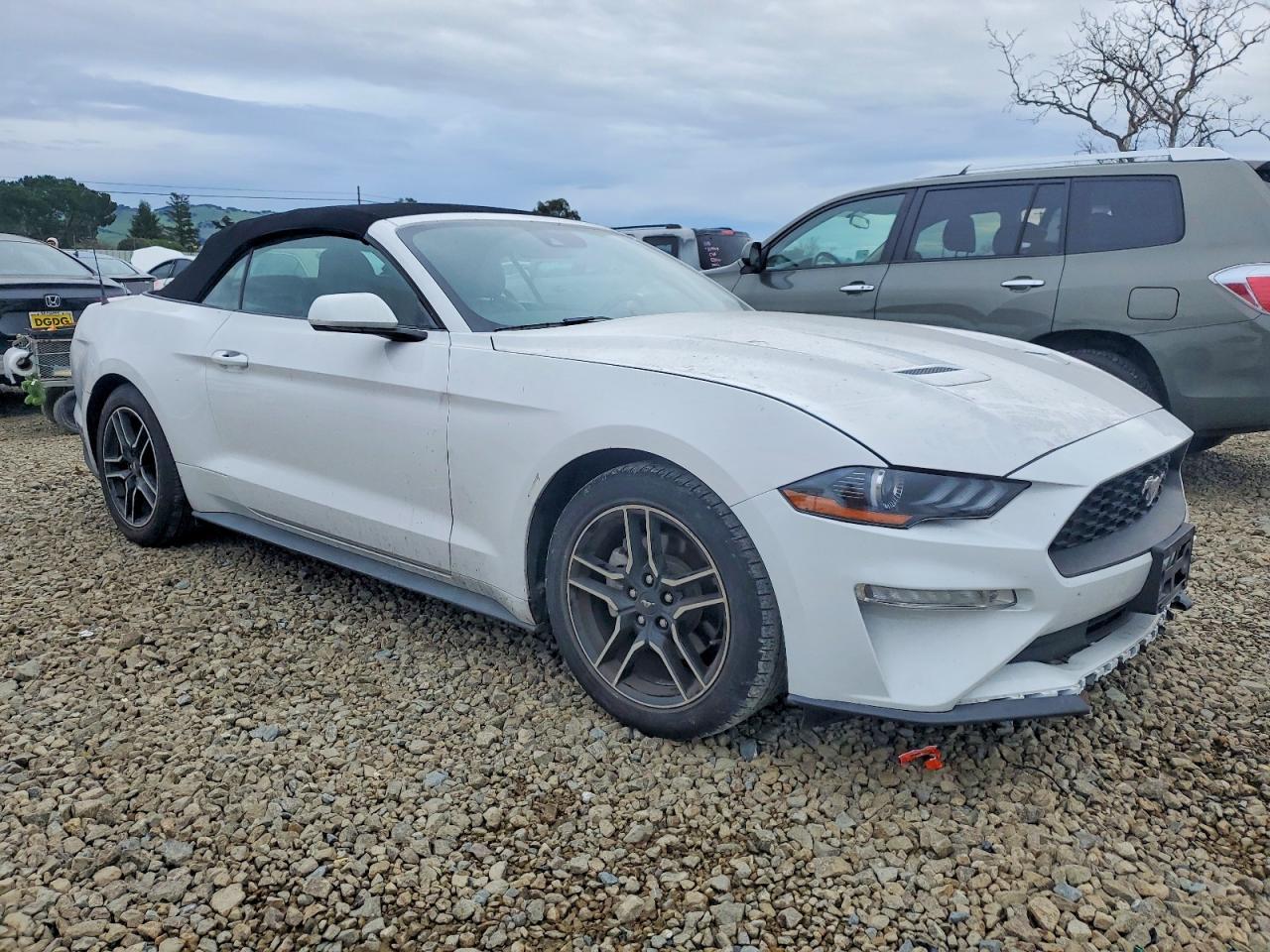 2021 FORD MUSTANG