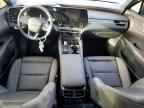 2025 LEXUS Rx