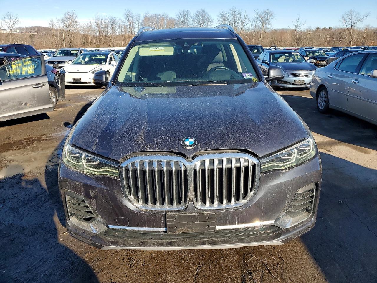 2019 BMW X7