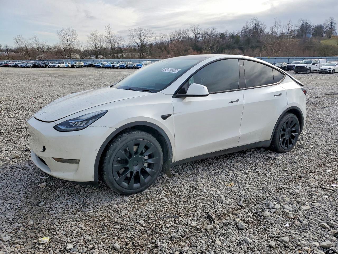 2021 TESLA MODEL Y