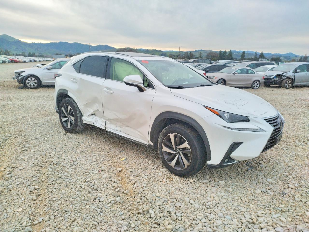 2021 LEXUS NX 300