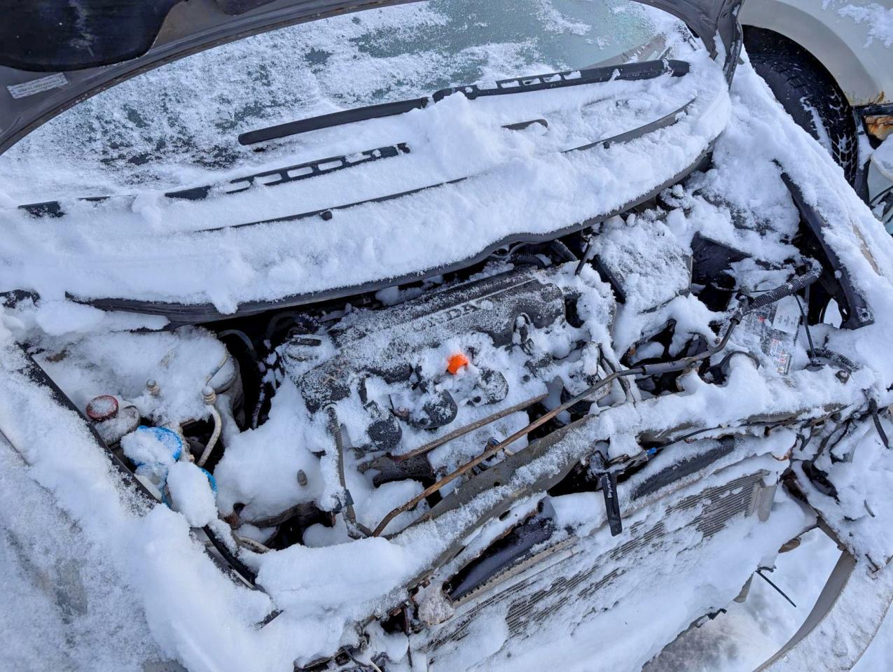 2007 HONDA CIVIC