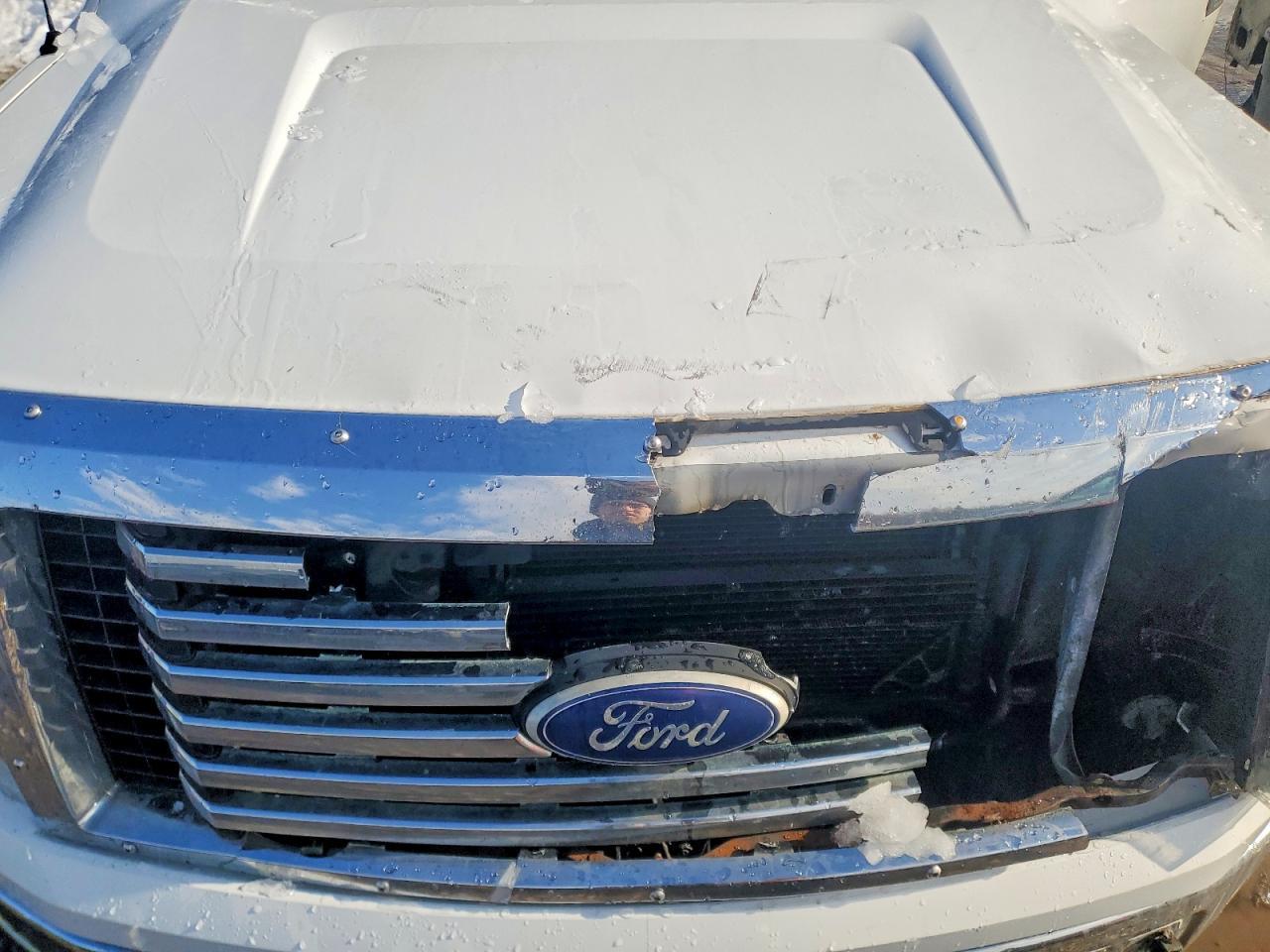 2009 FORD F-150