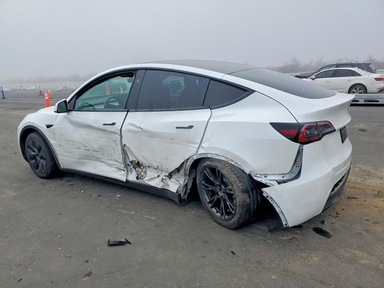 2025 TESLA MODEL Y