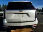 2024 CADILLAC ESCALADE