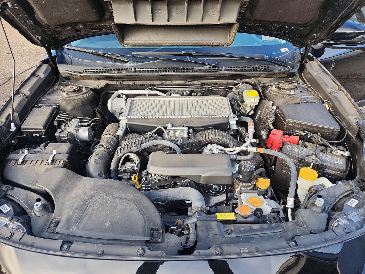 2025 SUBARU Outback