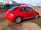 2019 VOLKSWAGEN Beetle