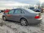 2003 TOYOTA Avalon