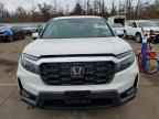 2025 HONDA Passport