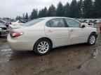 2003 LEXUS Es 300