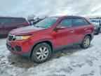 2011 KIA SORENTO