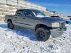 2010 DODGE Dakota