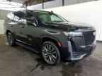 2023 CADILLAC ESCALADE