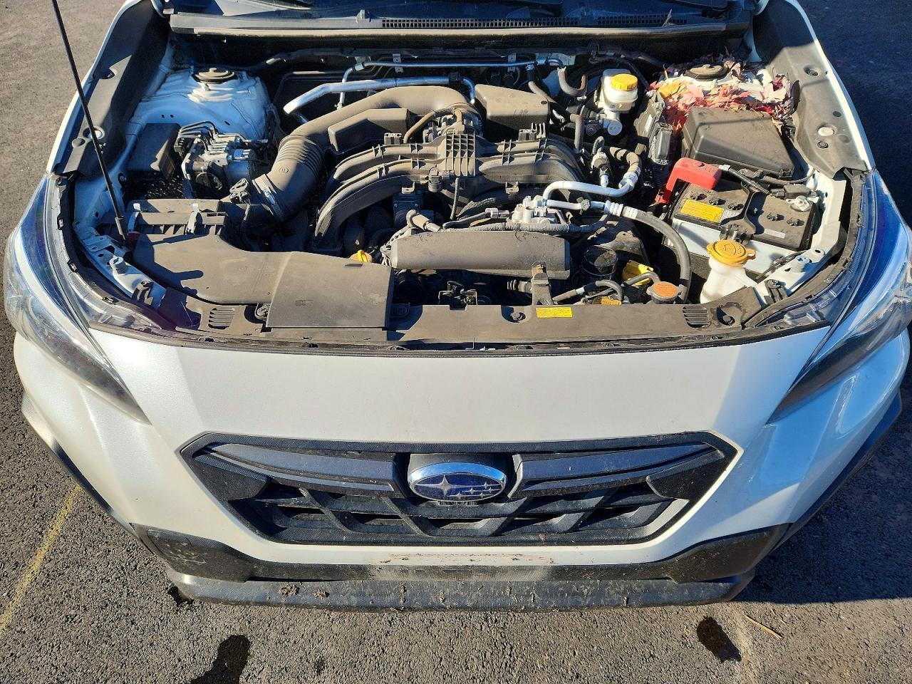 2023 SUBARU Crosstrek