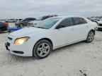 2010 CHEVROLET MALIBU