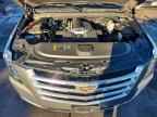 2019 CADILLAC ESCALADE