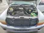 1999 DODGE Dakota