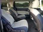 2025 KIA Carnival