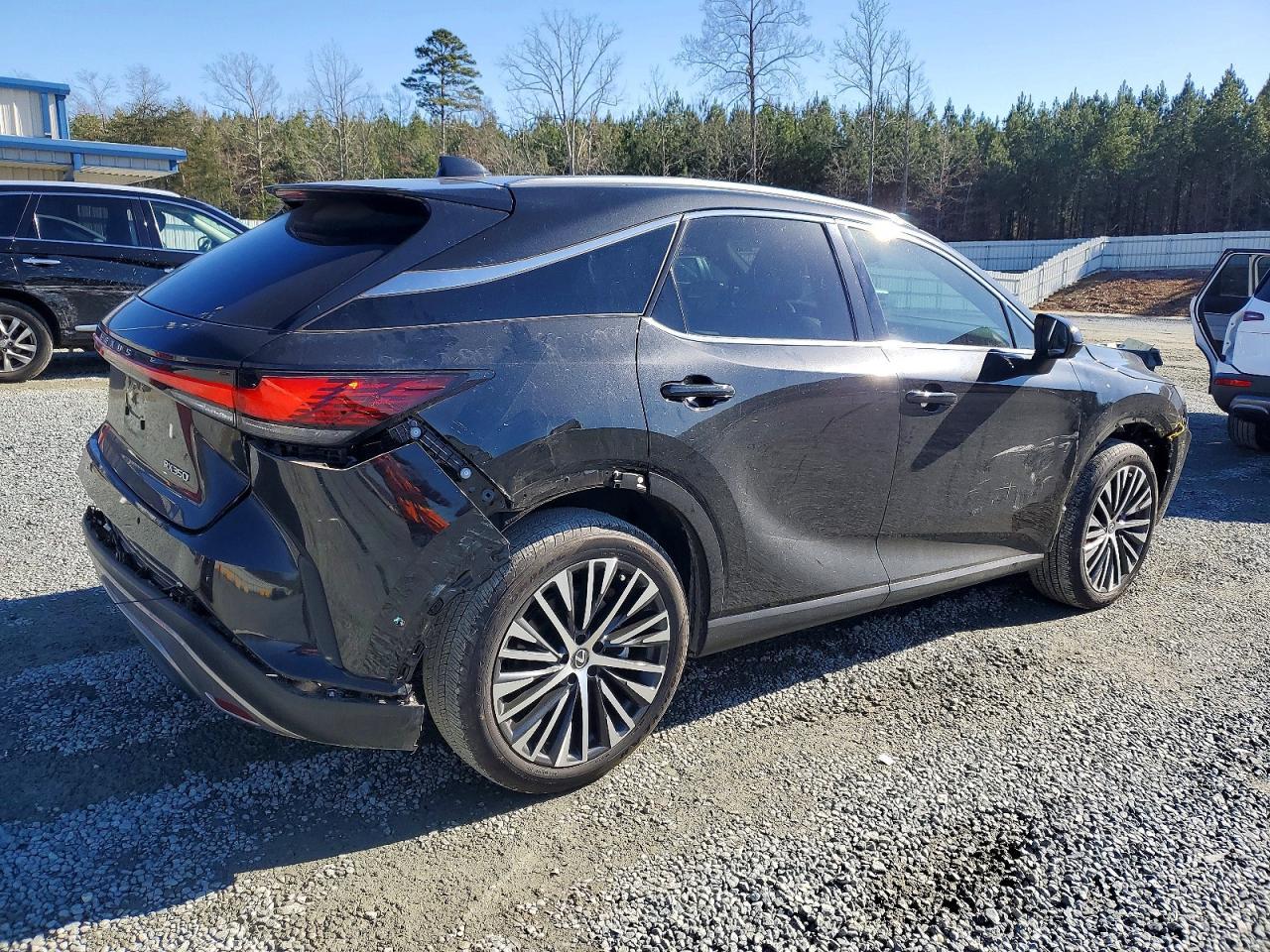 2024 LEXUS Rx