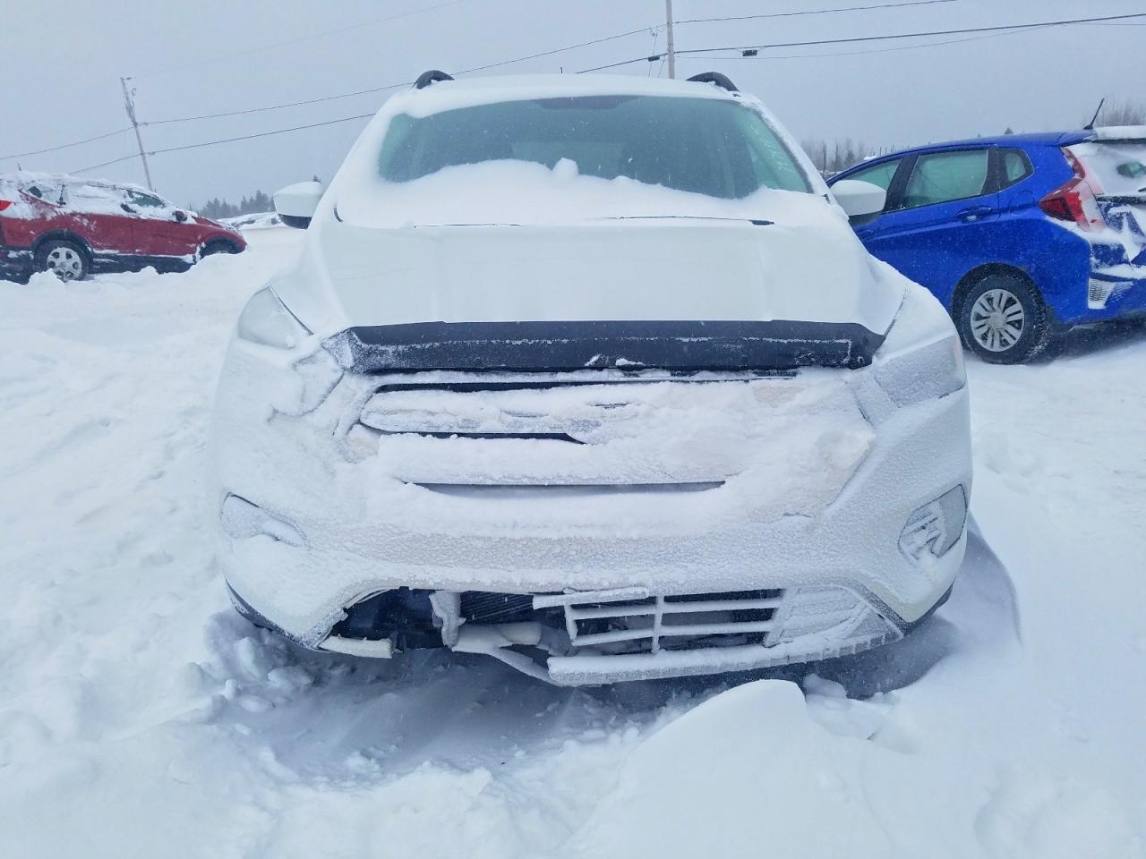 2019 FORD ESCAPE