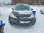 2010 HONDA CR-V