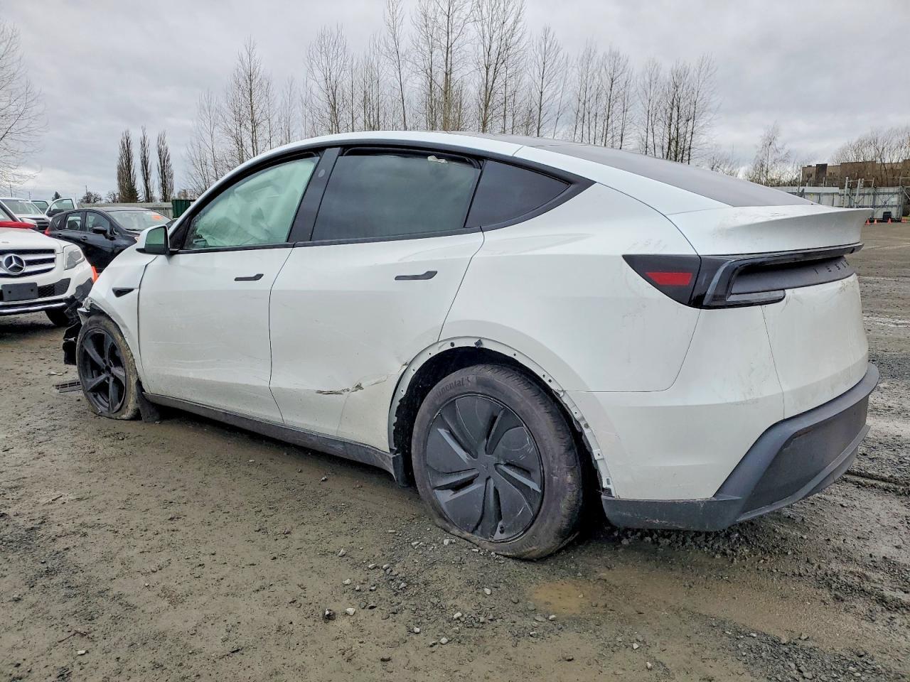 2026 TESLA MODEL Y