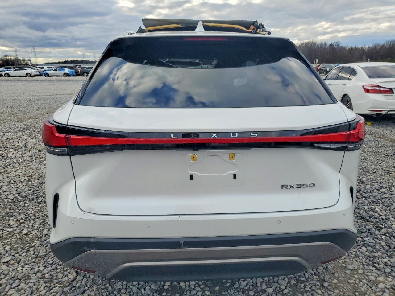 2024 LEXUS RX 350