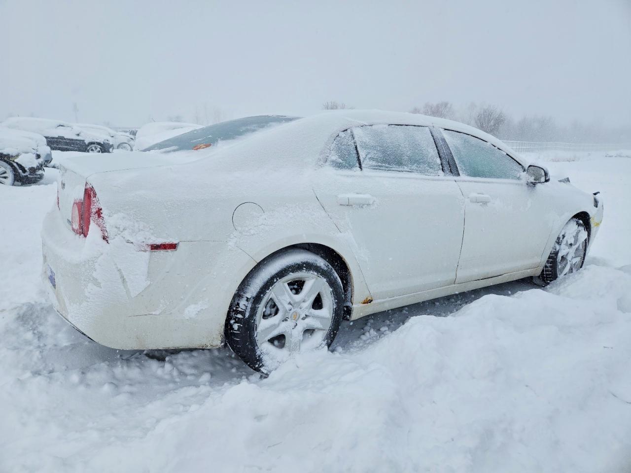 2011 CHEVROLET MALIBU