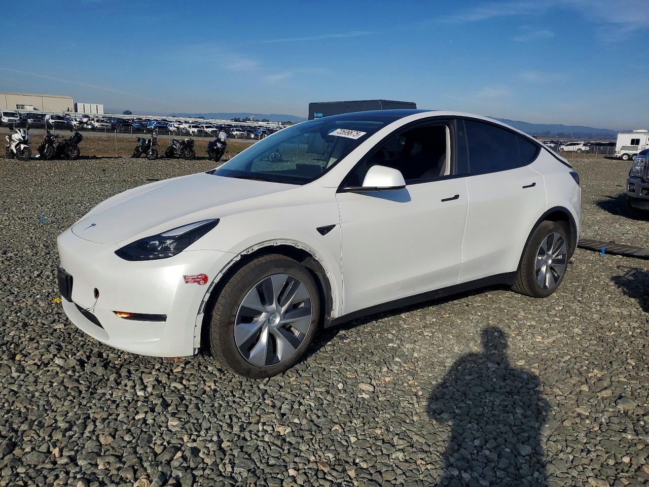 2024 TESLA MODEL Y