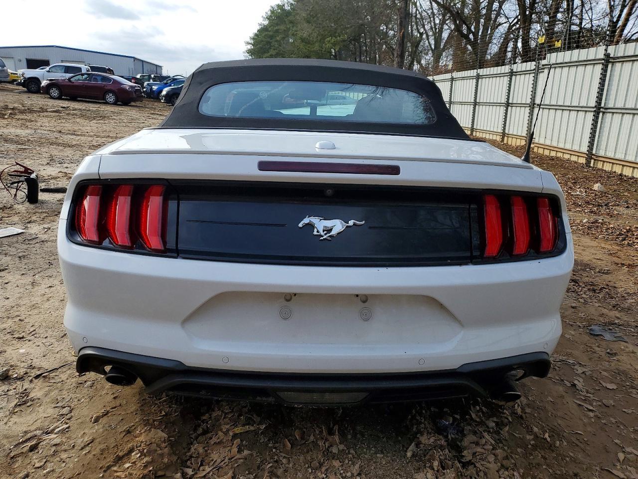 2019 FORD MUSTANG