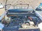 2024 FORD Maverick