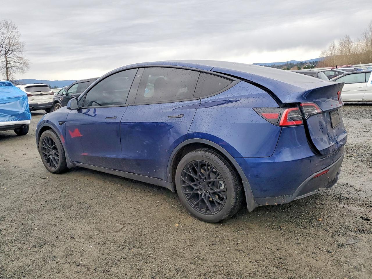 2020 TESLA MODEL Y