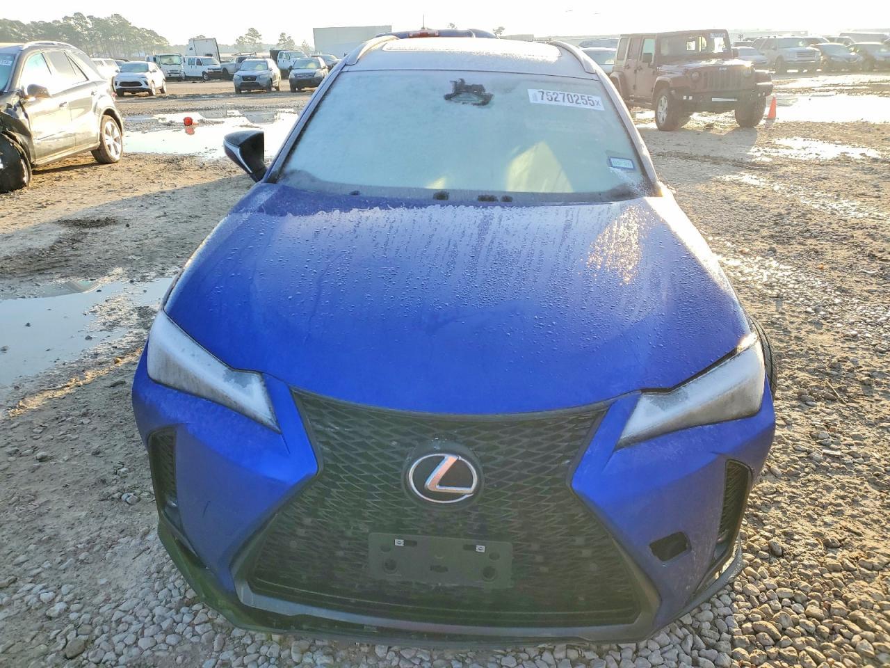 2025 LEXUS UX 300H