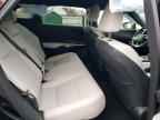 2025 LEXUS RX 350