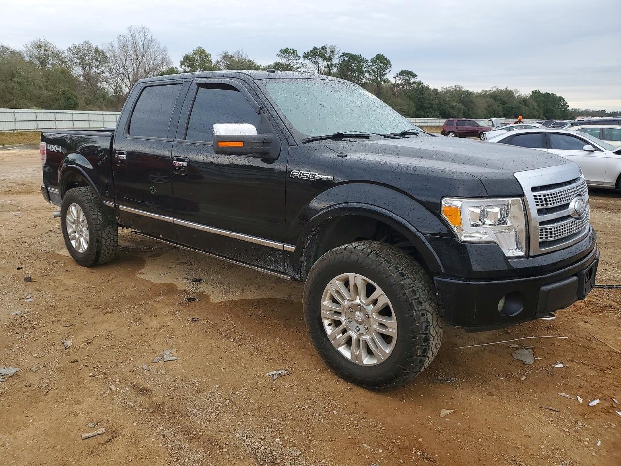 2009 FORD F-150