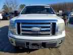 2009 FORD F-150